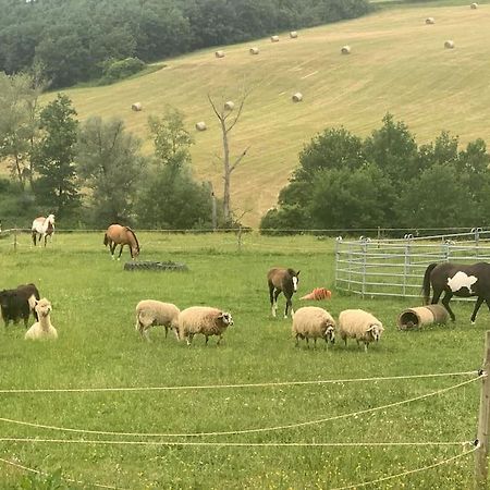 Gite A La Ferme Avec Jacuzzi Et Piscine Chauffee Saint-Felix-de-Tournegat Esterno foto